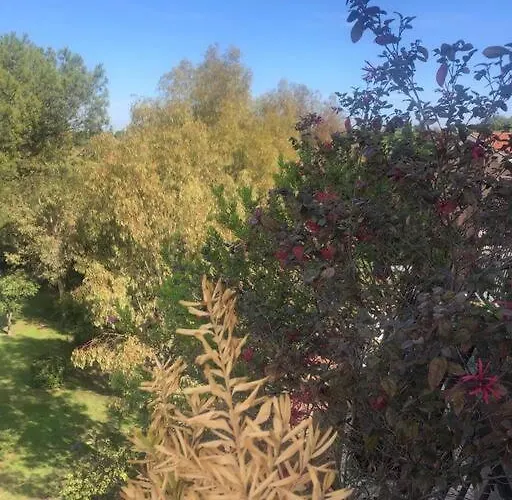 Casa Incantevole Con Vista Parco Appia Antica Casa vacanze *